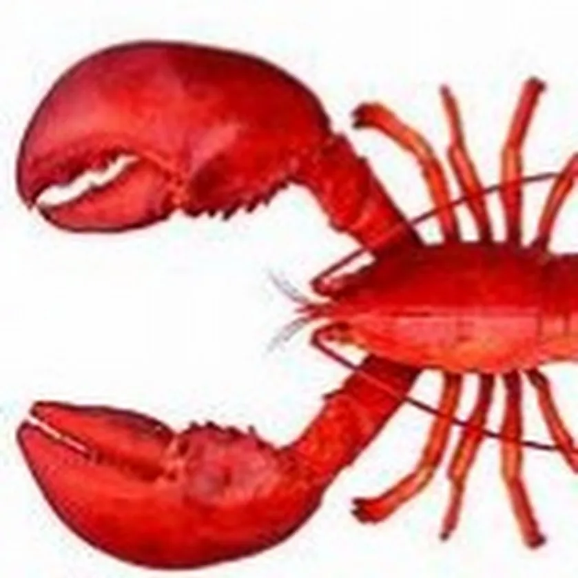pfp